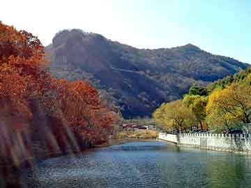 澳门二四六天天彩图库，chinabug